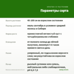 Мелисса (лимонная мята) (0,1л) — параметры сорта