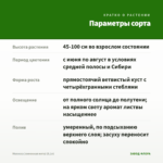 Мелисса (лимонная мята) (0,1л) — параметры сорта