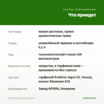 Мелисса (лимонная мята) (0,1л) — что приедет