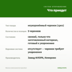 Мелисса (лимонная мята) (срез/5шт) — что приедет