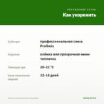 Мелисса (лимонная мята) (срез/5шт) — как укоренить черенок