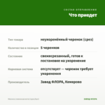 Мелисса (лимонная мята) (срез/5шт) — что приедет