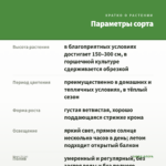 Мирт (0,1л) — параметры сорта