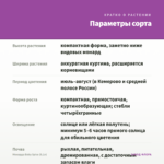 Монарда Baby Spice (0,1л) — параметры сорта