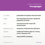 Монарда Baby Spice (0,1л) — что приедет