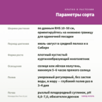 Монарда Bee Free (0,1л) — параметры сорта
