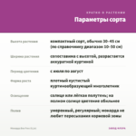 Монарда Bee Free (0,1л) — параметры сорта