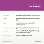 Монарда Bee Free (0,1л) — что приедет