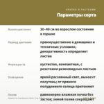 Мурданния Лориформис Брайт Стар (0,2л) — параметры сорта