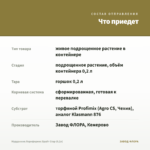 Мурданния Лориформис Брайт Стар (0,2л) — что приедет