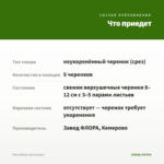 Мята Абура (срезы/5шт) — что приедет