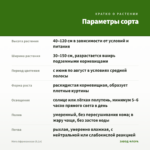 Мята Африканская (0,1л) — параметры сорта