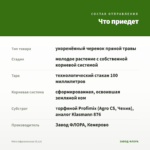 Мята Африканская (0,1л) — что приедет
