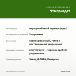 Мята Африканская (срезы/5шт) — что приедет
