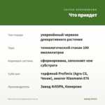 Мята Ананасная Вариегатная (0,1л) — что приедет