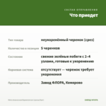Мята Ананасная Вариегатная (срезы/5шт) — что приедет