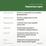 Мята Апельсиновая (0,1л) — параметры сорта