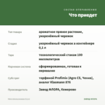 Мята Апельсиновая (0,1л) — что приедет