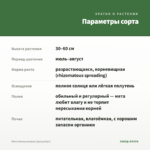 Мята Апельсиновая (срезы/5шт) — параметры сорта