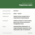 Мята Апельсиновая (срезы/5шт) — параметры сорта