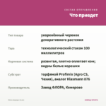 Мята Аврора (0,1л) — что приедет