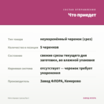 Мята Аврора (срезы/5шт) — что приедет