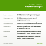 Мята Аврора (срезы/5шт) — параметры сорта