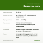Мята Банановая (срезы/5шт) — параметры сорта
