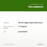 Мята Банановая (срезы/5шт) — как укоренить черенок