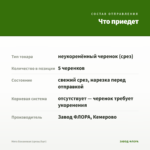 Мята Банановая (срезы/5шт) — что приедет