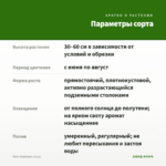 Мята Барбарис (0,1л) — параметры сорта