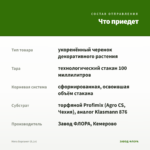Мята Бергамот (0,1л) — что приедет