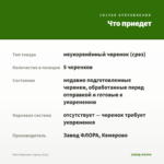 Мята Бергамот (срезы/5шт) — что приедет