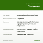 Мята Бергамот (срезы/5шт) — что приедет