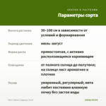 Мята Чайные традиции (0,1л) — параметры сорта