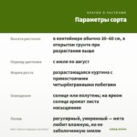 Мята Чайные традиции (срез/5шт) — параметры сорта