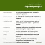 Мята Чайные традиции (срез/5шт) — параметры сорта