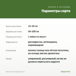 Мята Черная Смородина (0,1л) — параметры сорта