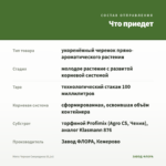 Мята Черная Смородина (0,1л) — что приедет