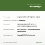 Мята Черная Смородина (срезы/5шт) — что приедет