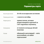 Мята Цитрусовая (0,1л) — параметры сорта
