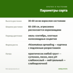 Мята Цитрусовая (0,1л) — параметры сорта