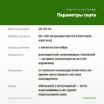 Мята Цитрусовая (срезы/5шт) — параметры сорта