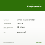 Мята Цитрусовая (срезы/5шт) — как укоренить черенок