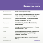 Мята Даблминт (0,1л) — параметры сорта