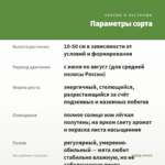 Мята Даблминт (срез/5шт) — параметры сорта