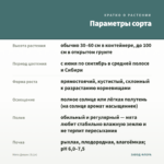 Мята Дюшес (0,1л) — параметры сорта