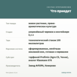 Мята Дюшес (0,1л) — что приедет
