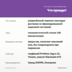 Мята Дюшес (0,1л) — что приедет