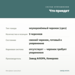 Мята Дюшес (срезы/5шт) — что приедет